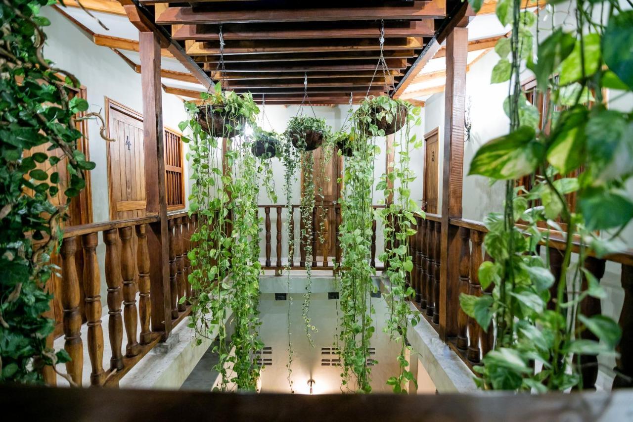 Scalea Di Mare Hotel — Photos 3